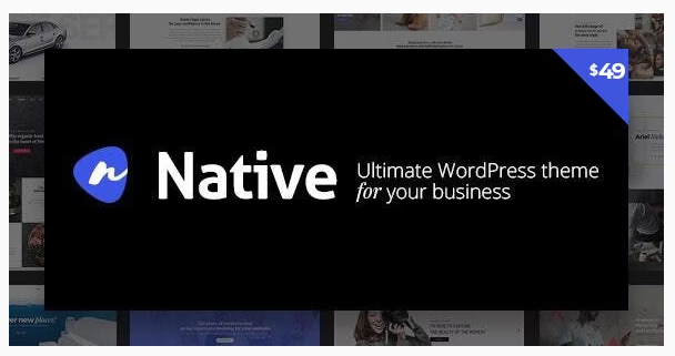 Native - Stylish Multi-Purpose Creative WP Theme